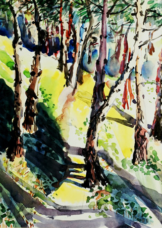 Mountain Path