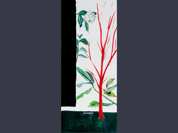 Sangokaku and Camellia