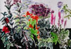 Summer Garden