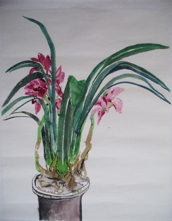 Beijing Spring Cymbidium