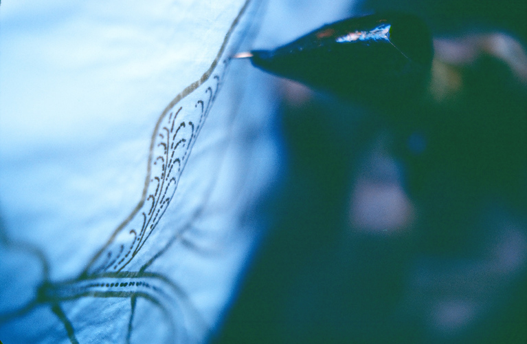 Waxing the Design with Canting (Tjanting)