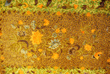 Batik Kain Pekalongan Style