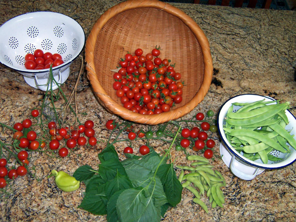 Harvest