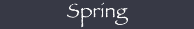 Spring